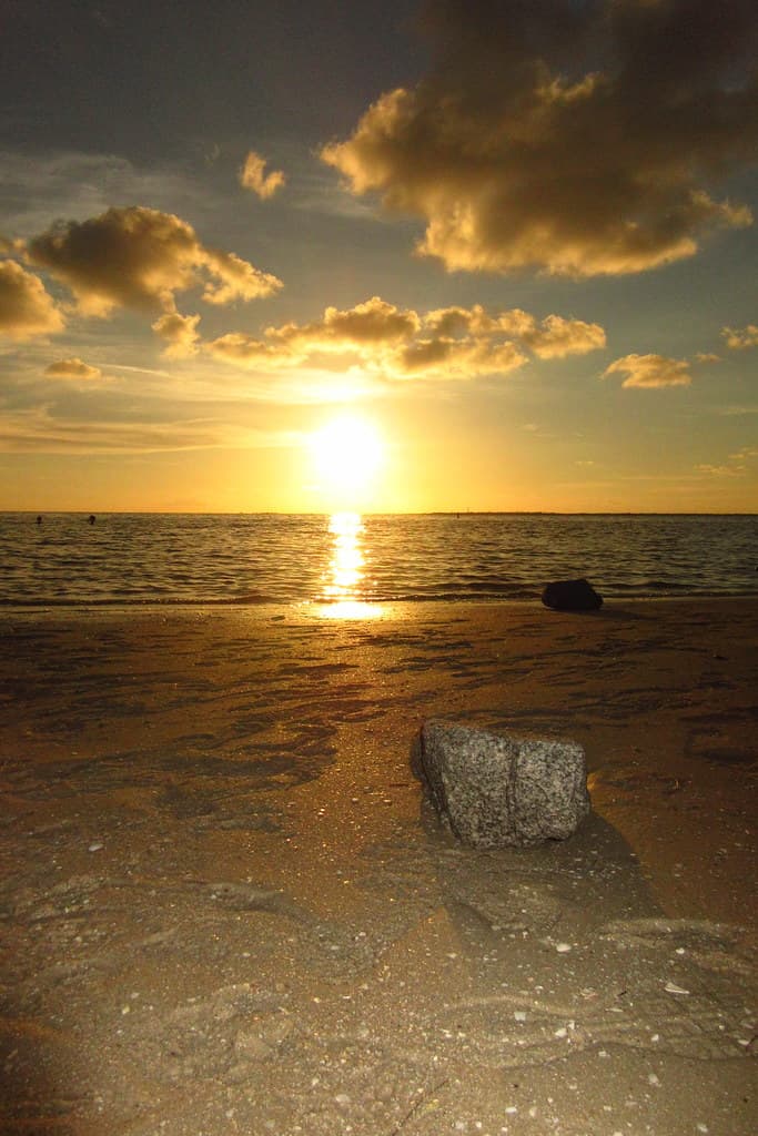 Fred Howard Park Beach
