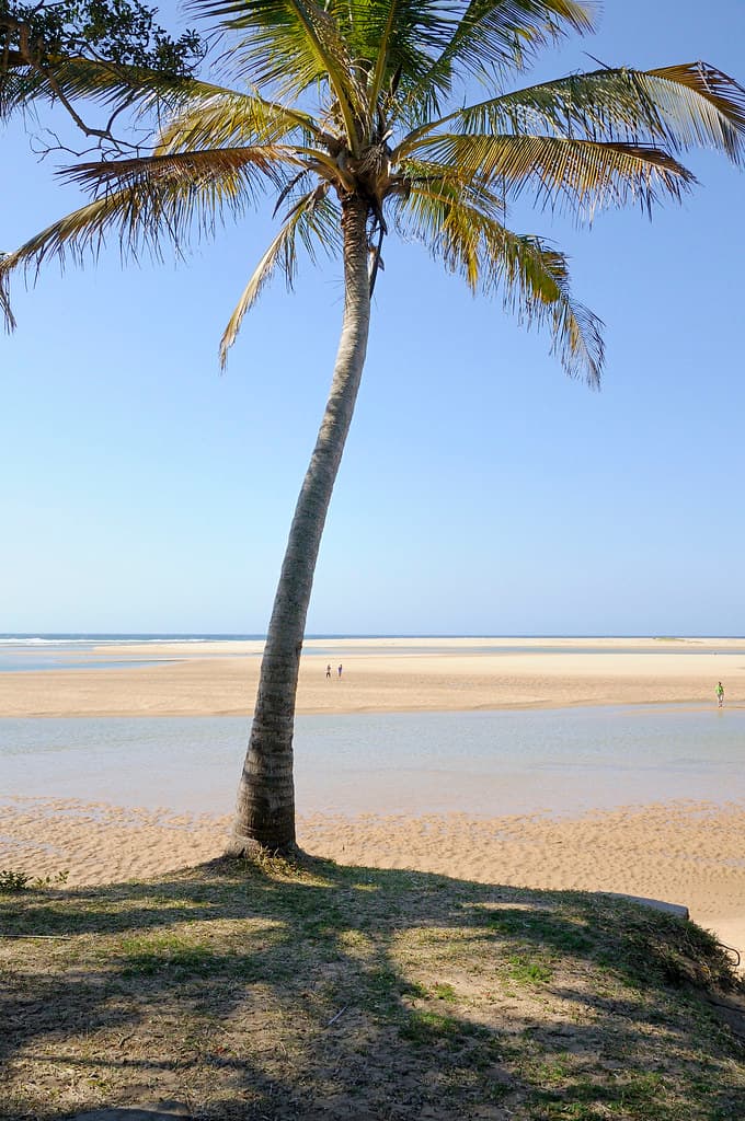 Ponta do Ouro Beach — photo by jacashgone