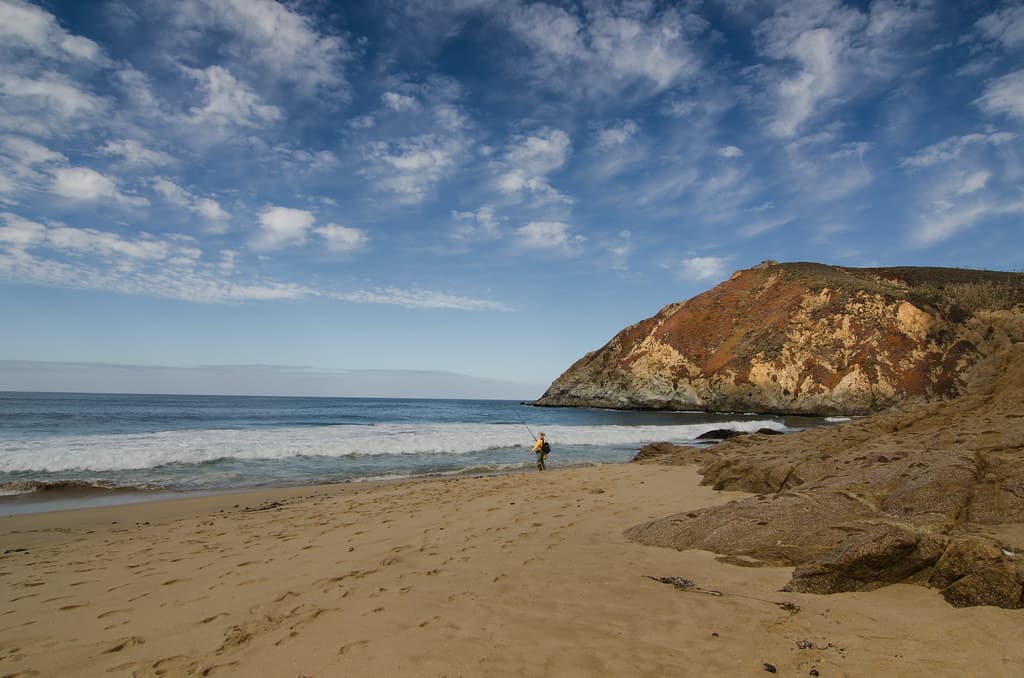 Gray Whale Cove State Beach