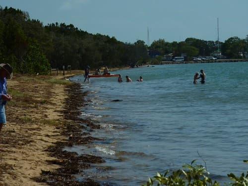 Urangan Beach, Hervey Bay on the south side of the Boat Harbour Looking along the beach towards the harbour taken from where the  mangroves start.. Also a couple of photos taken in the mangroves