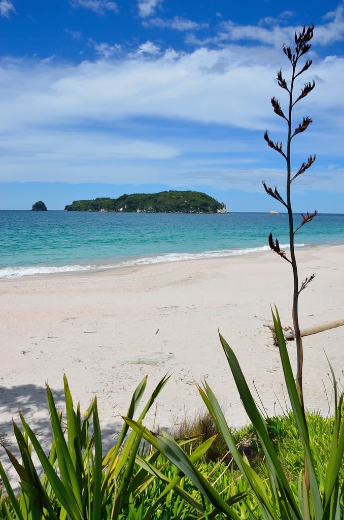 Front Beach — photo by kewl