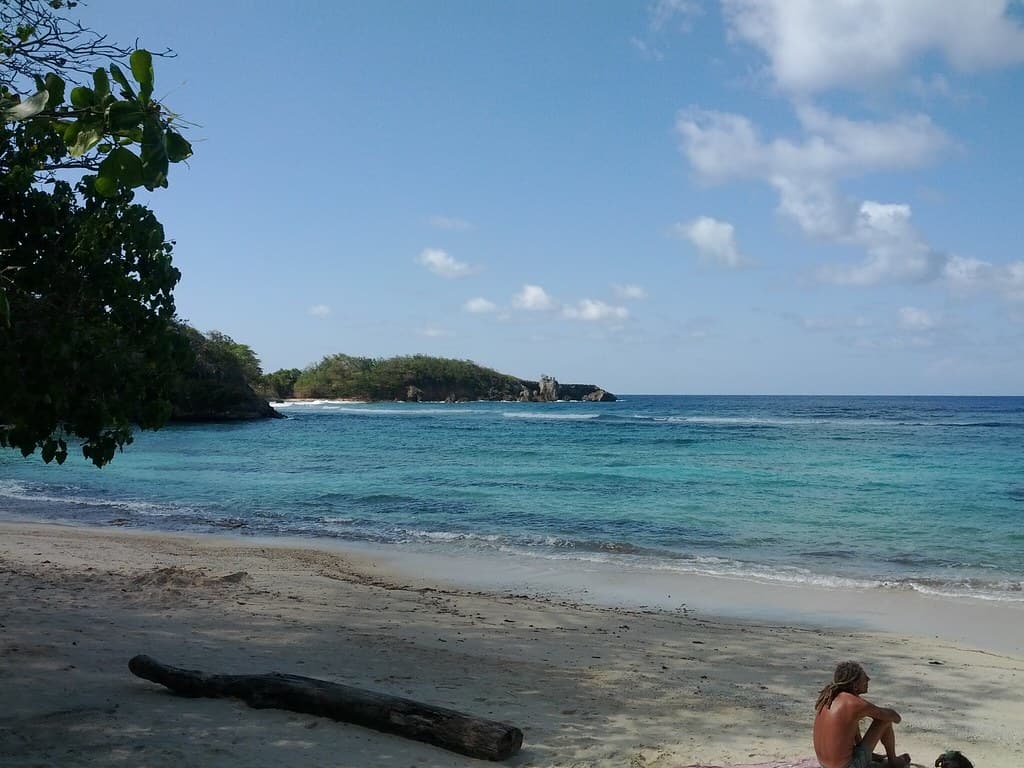 East Harbour Beach — photo by emailer