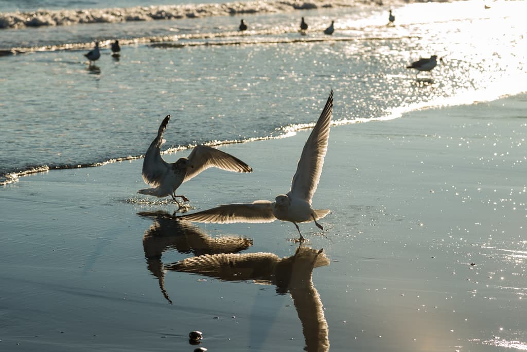 Rejects Beach — photo by Torsten Reimer