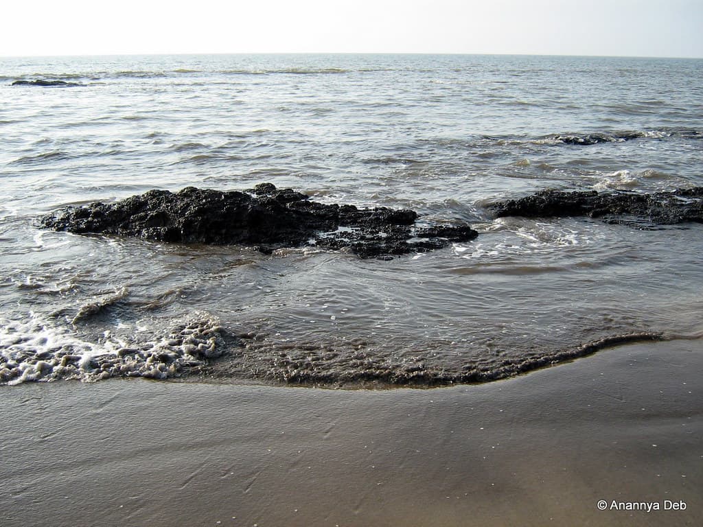 Sasawane Beach — photo by Anannya Deb