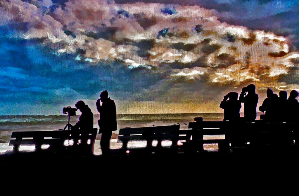 Birdwatching Over the River
