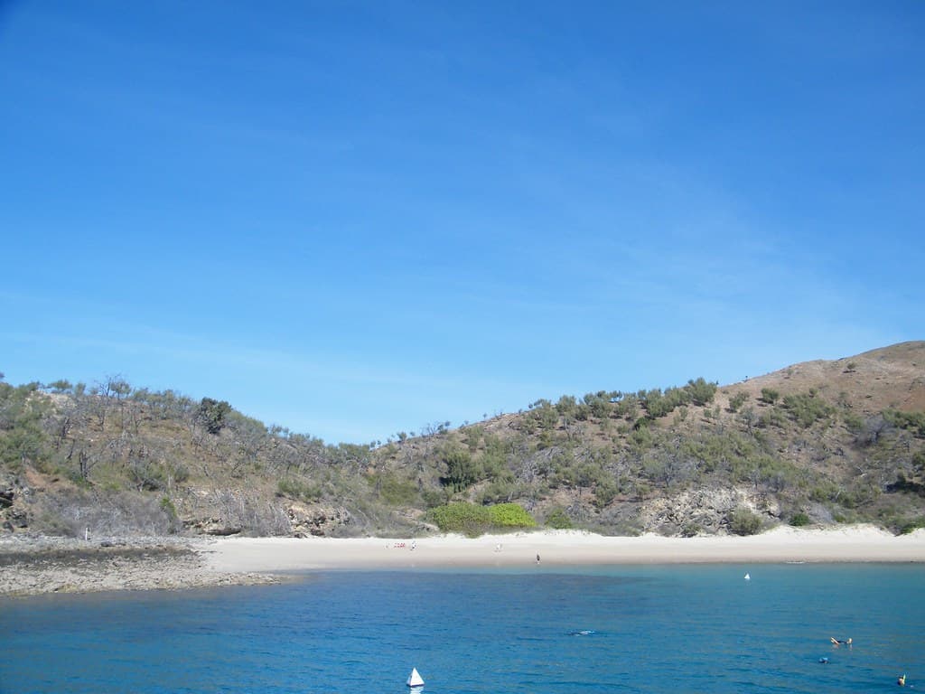 Svendsen's Beach Pure