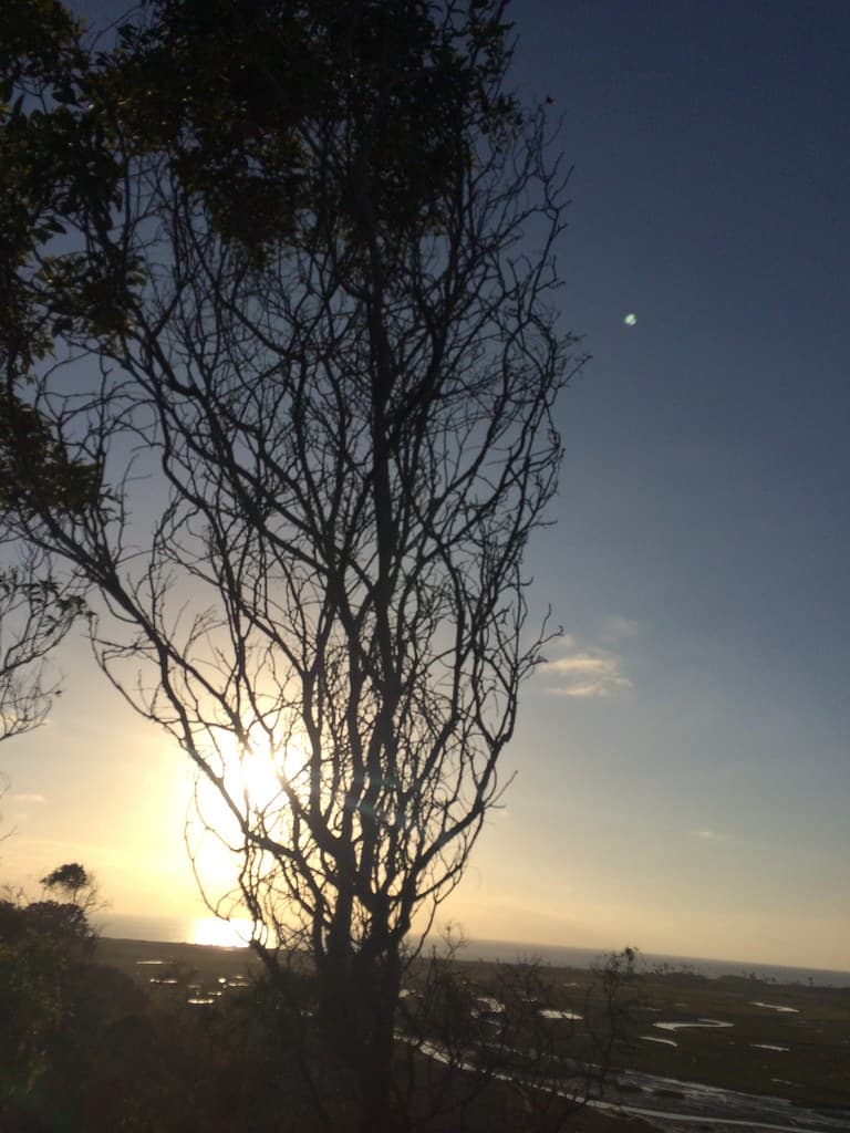 Cardiff State Beach