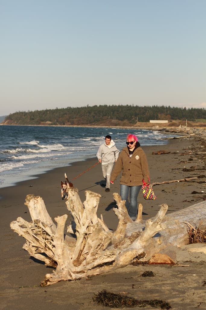 Joseph Whidbey State Park