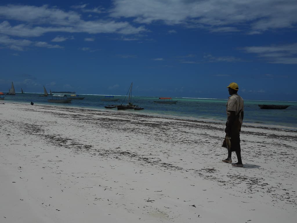 Mbuyu Tende Beach — photo by mild_swearwords