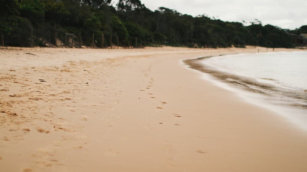 Tracks