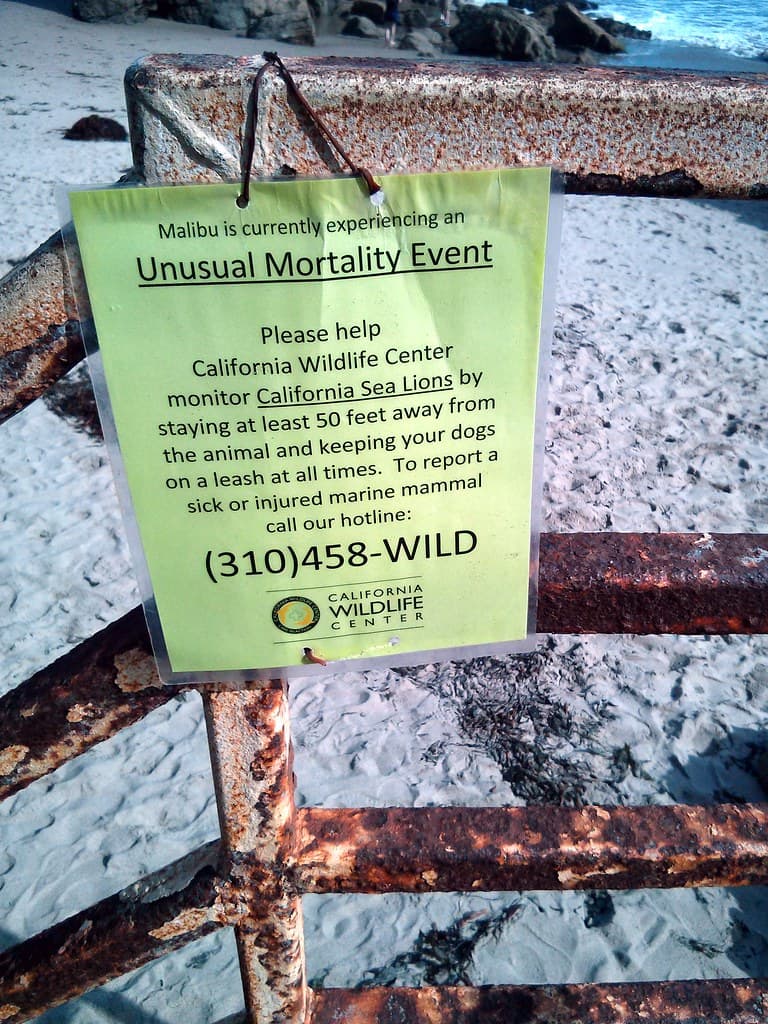 Unusual Mortality Event sign, El Matador Beach, Malibu, LA, CA, USA