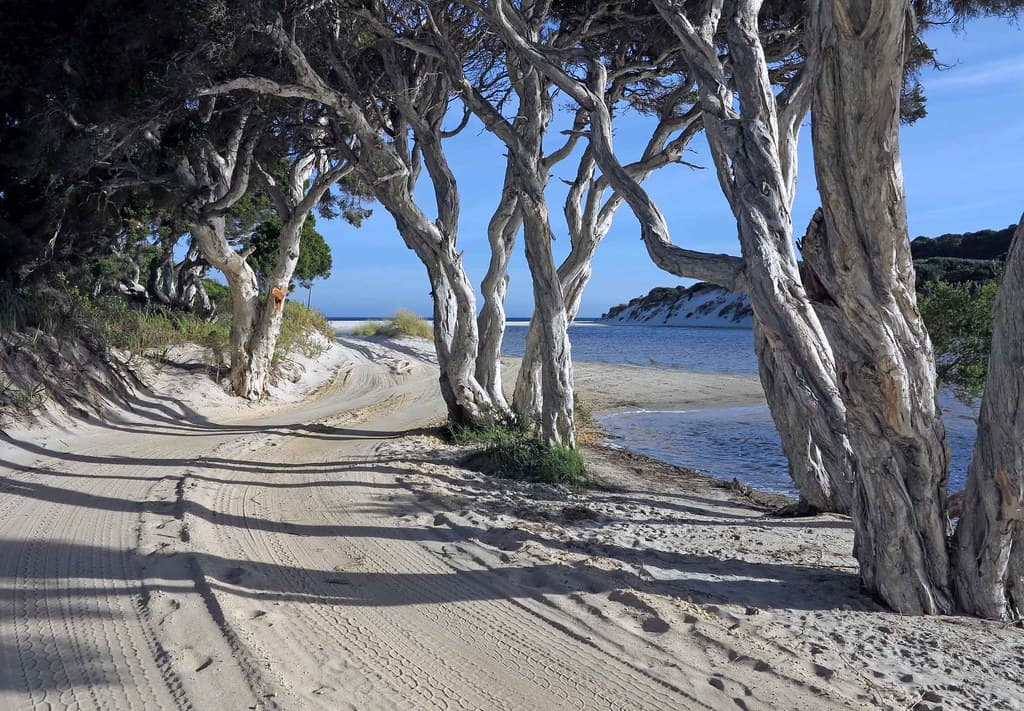G1X4450 Nanarup Beach Access