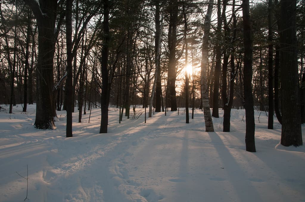 Odiorne Point State Park