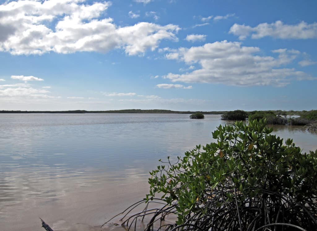 Storr's Lake (San Salvador Island, Bahamas) 2