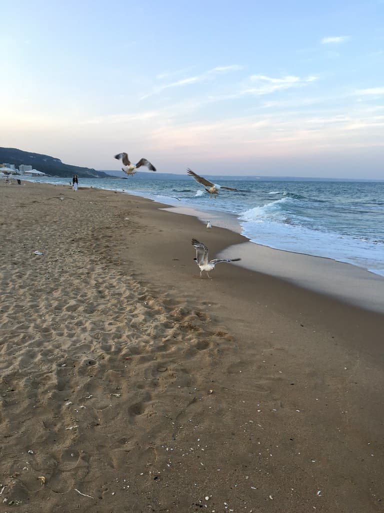 Golden Sands Beach — photo by Rosa Dik 009 -- catching up !