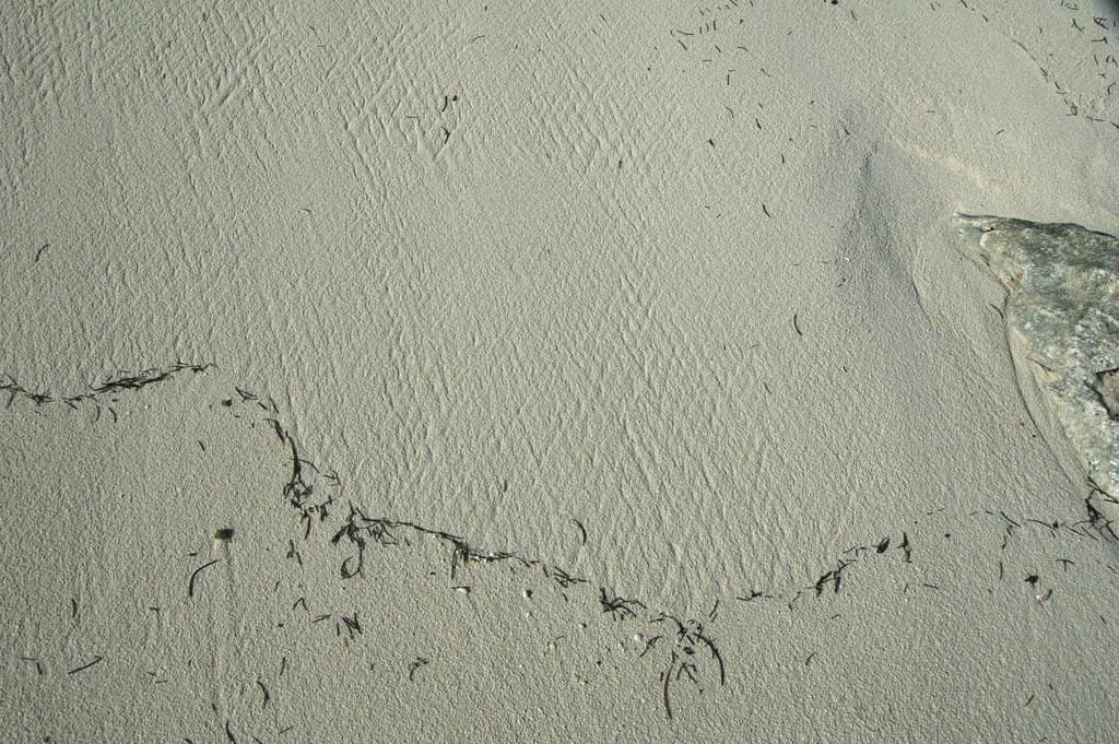 Rhomboid ripples on aragonite sand beach (San Salvador Island, Bahamas) 3