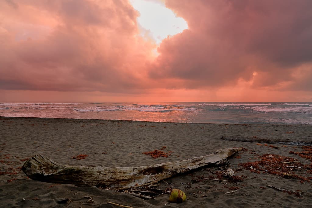 Playa Tortuguero Norte — photo by George Lamson