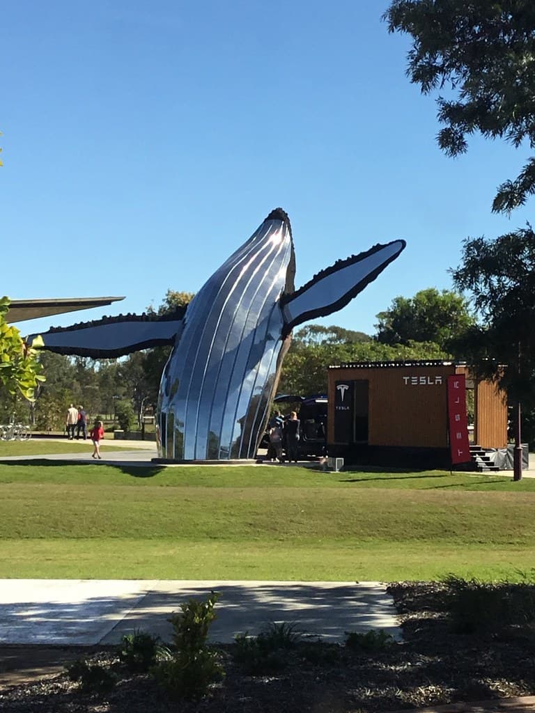 Hervey Bay. 400 or more whales play in Wide Bay between Hervey Bay and Fraser Island each year from July to November. Hervey Bay has this fine sculpture of a whale.