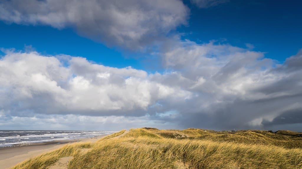 Lodbjerg Hede Beach — photo by Markus Jaschke