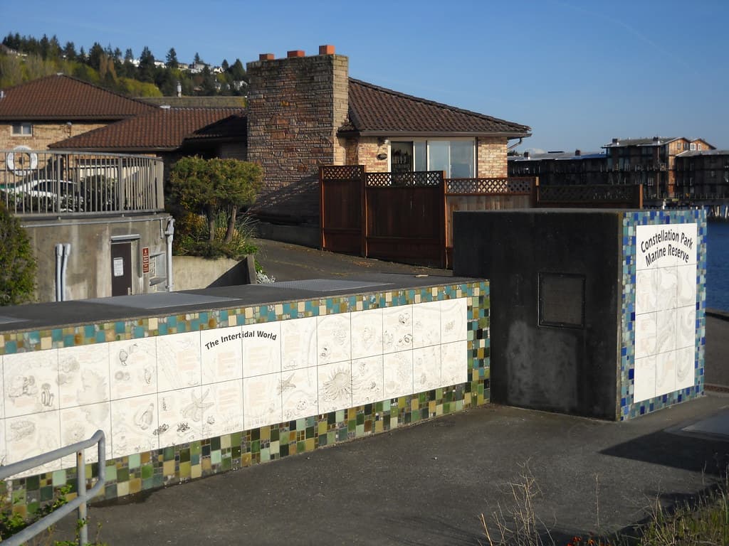 Charles Richey Sr Viewpoint