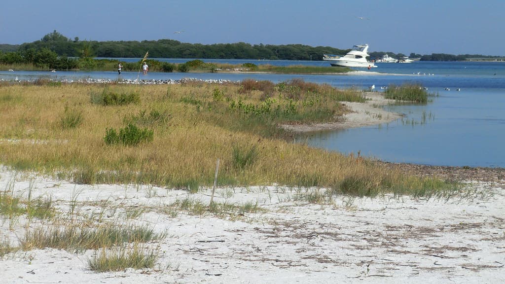 Fort de Soto Park @ St.Petersburg (Florida - Gulfcoast)
