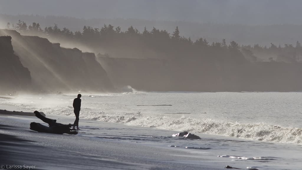 Waves & Mist