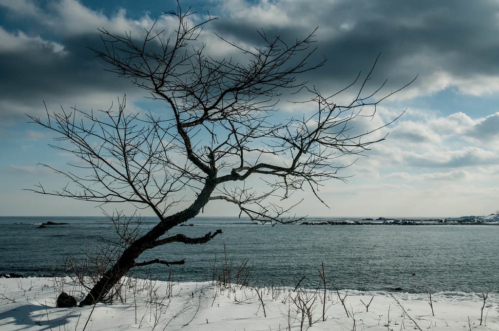 Odiorne Point State Park