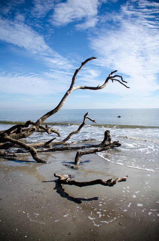 Coffin Point Beach — photo by m01229
