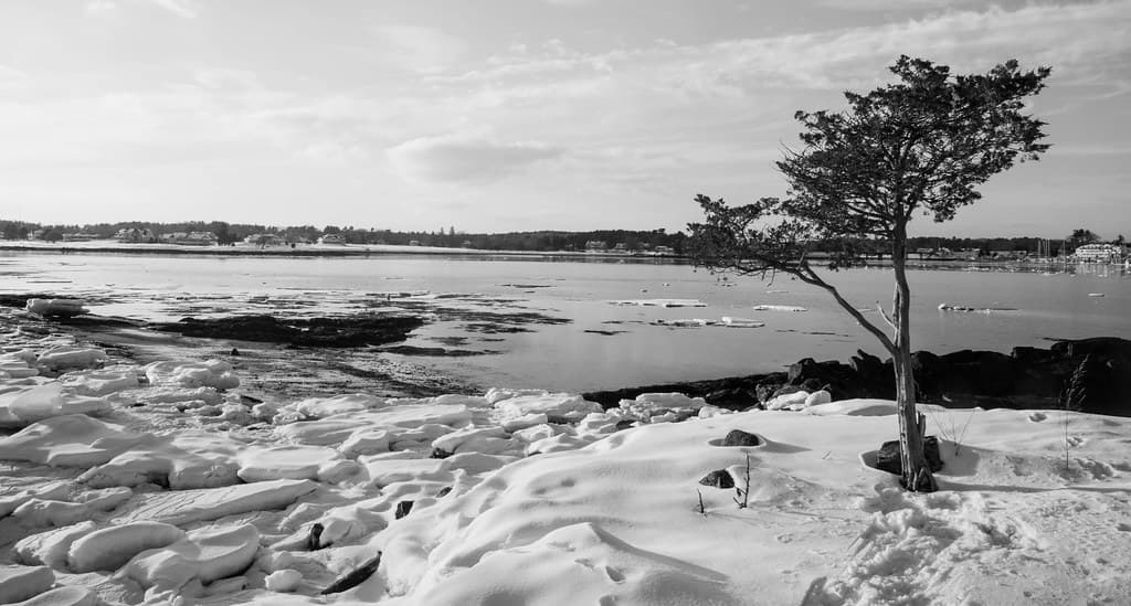 Odiorne Point State Park