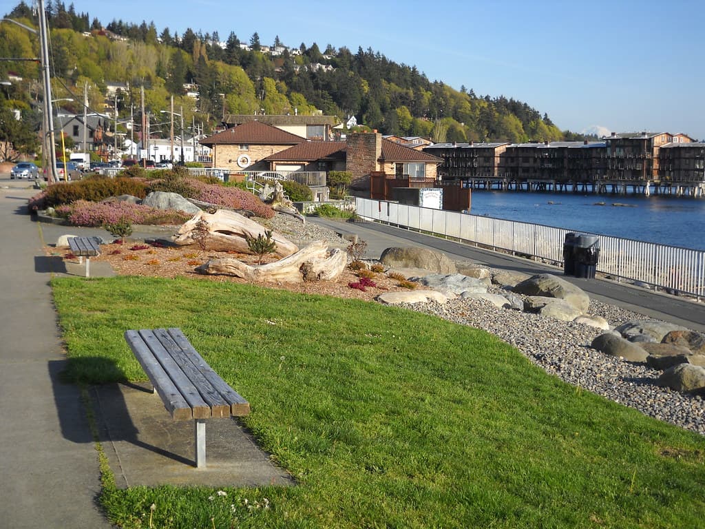 Charles Richey Sr Viewpoint