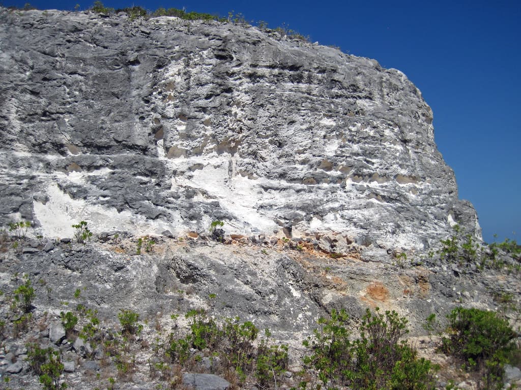 Brown Bluff Beach