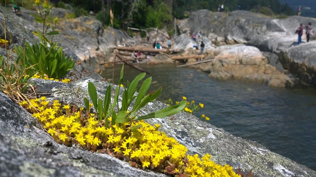 Furry Creek Beach — photo by Ruth and Dave