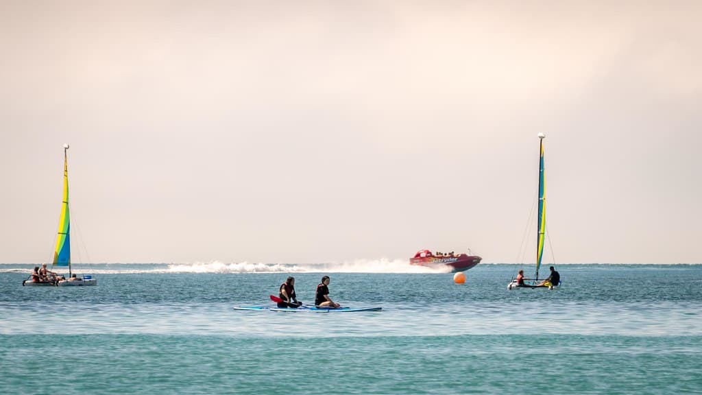 Catseye Beach Action