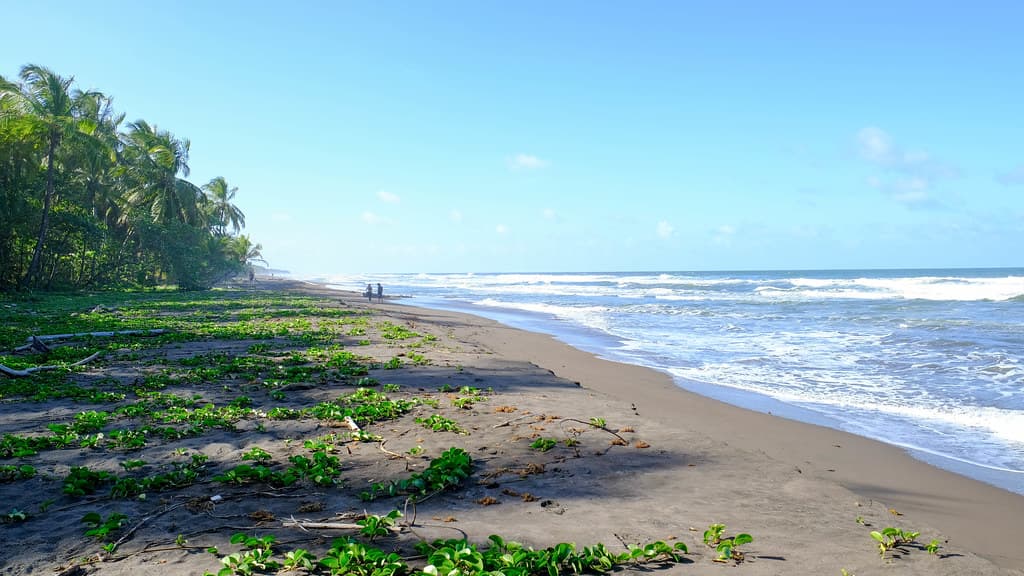 Playa Tortuguero Norte