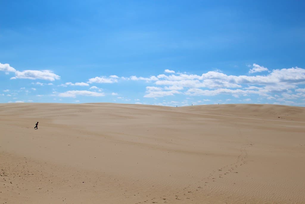 Little boy running on the dunes