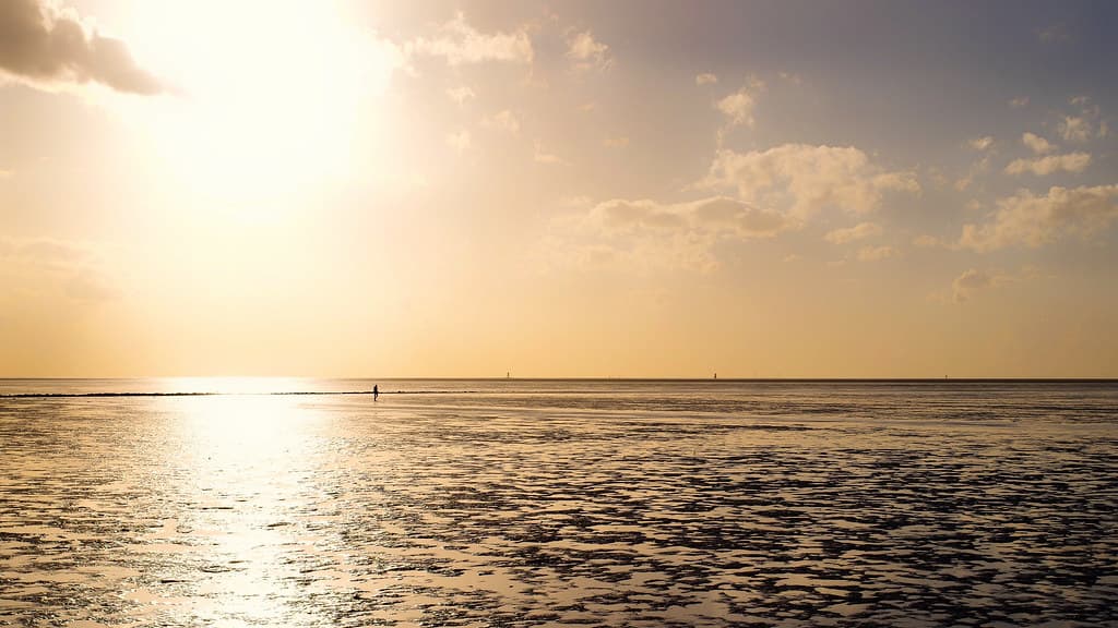 Spieka-Neufeld Beach