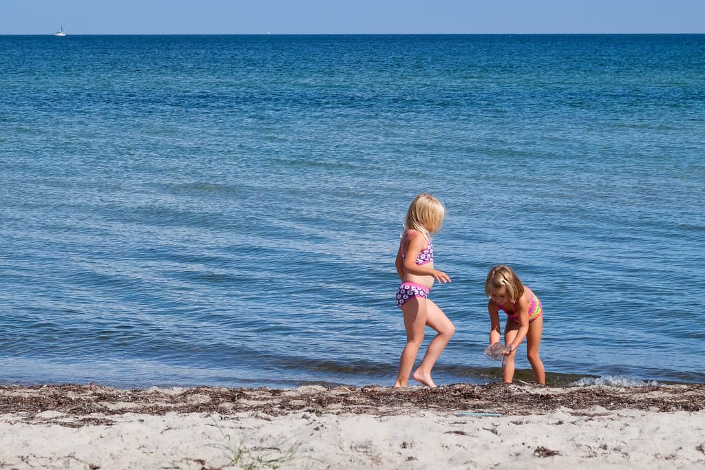 Bøtø Strand — photo by Lars Plougmann