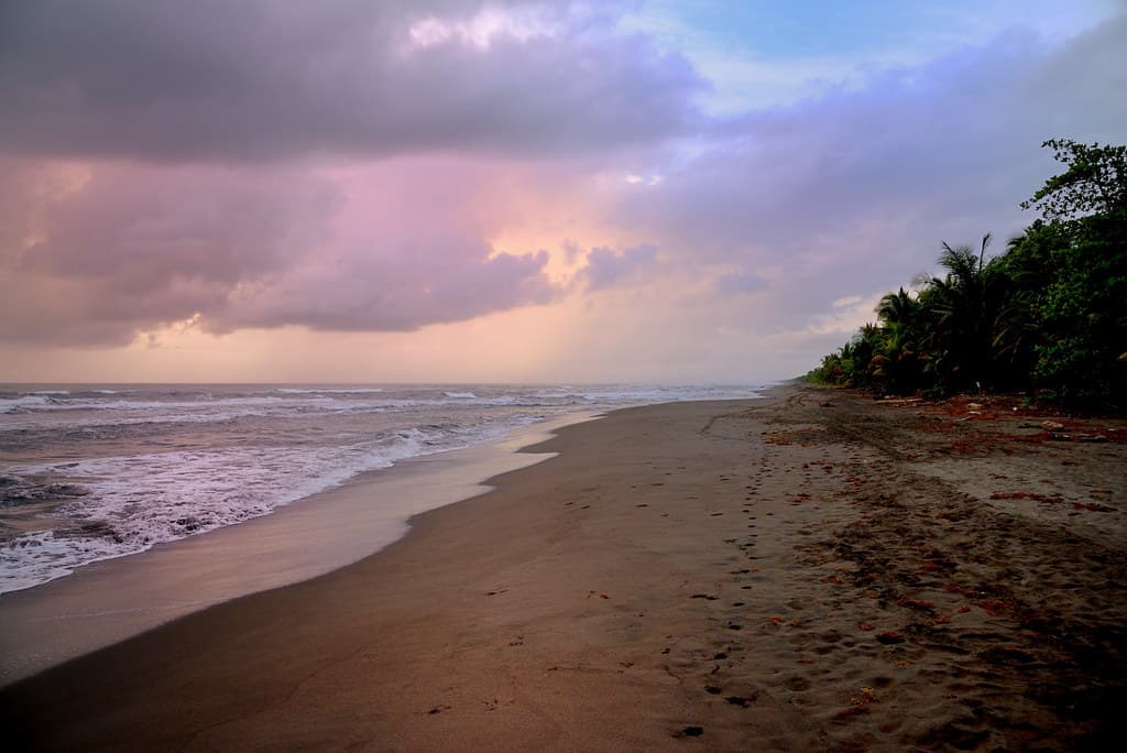 Playa Tortuguero Norte — photo by George Lamson
