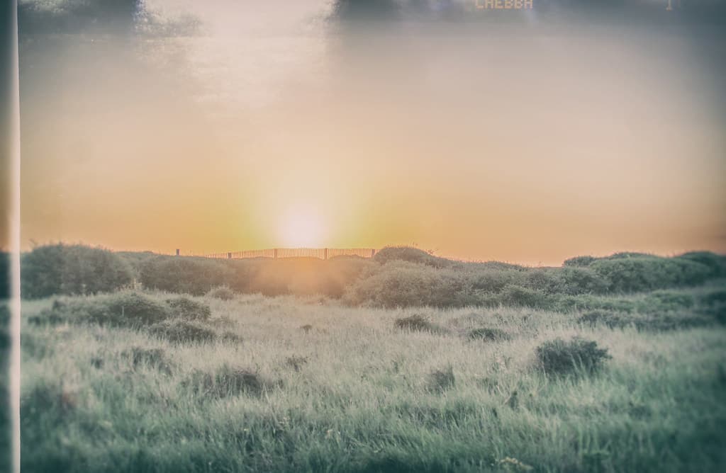 Sunrise -- Happy Fenced Friday