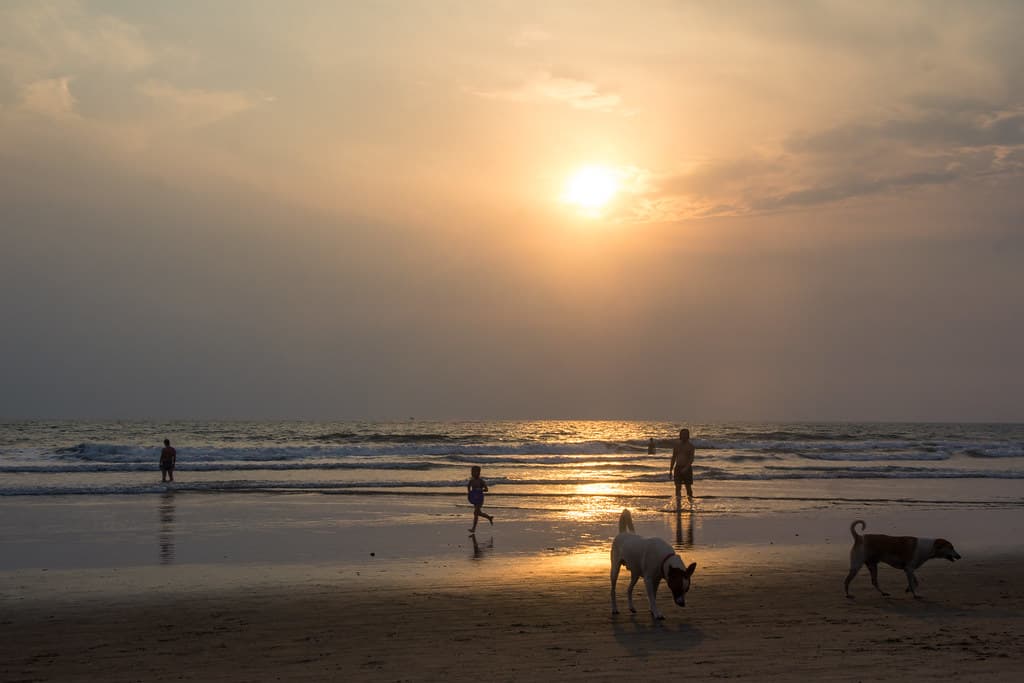 Kalacha Beach — photo by cat_collector