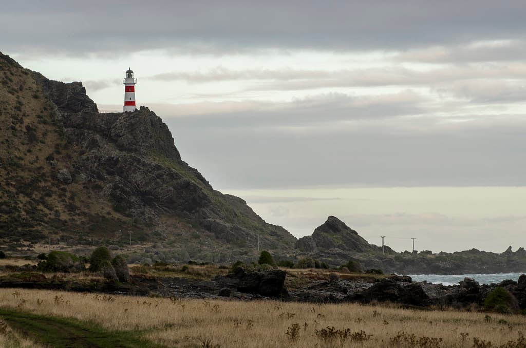 Cape Palliser Beach — photo by Eduardo_il_Magnifico