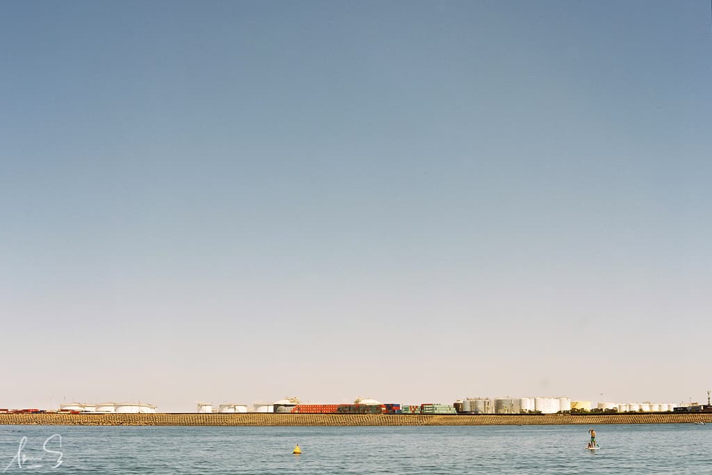 The Paddle Boarder - Yarra Bay