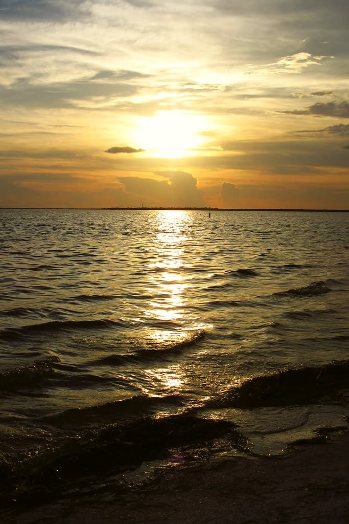 cool20160714 010_howard_park_beach_