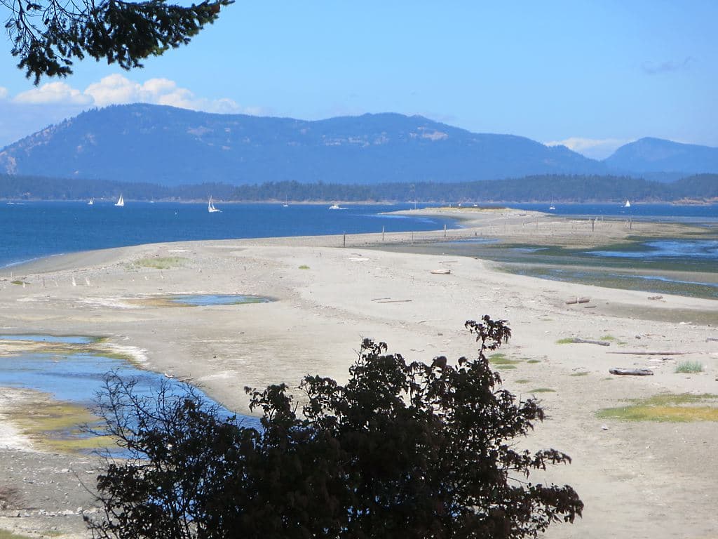 Sidney Spit Beach — photo by D-Stanley