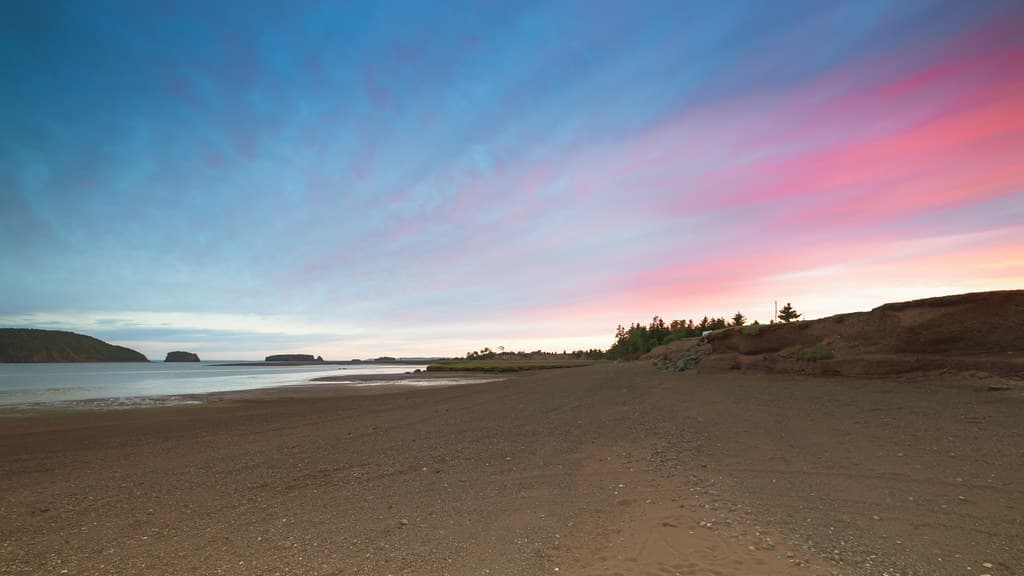 Economy Beach