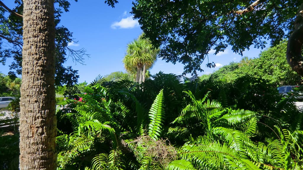 Florida - Naples - Barefoot Beach Preserve Park