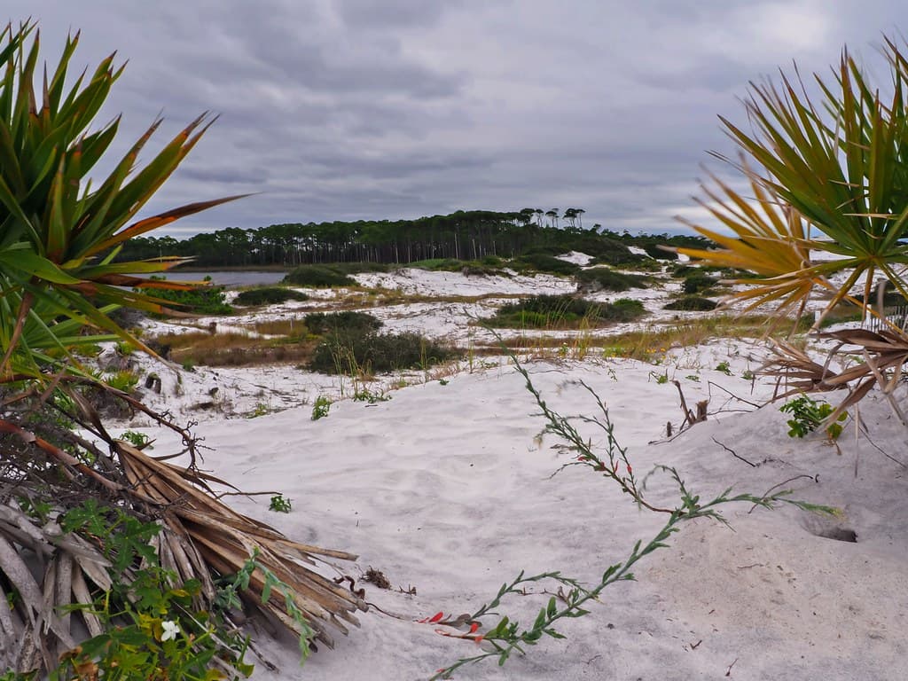 Overcast Overlook at Grayton Beach