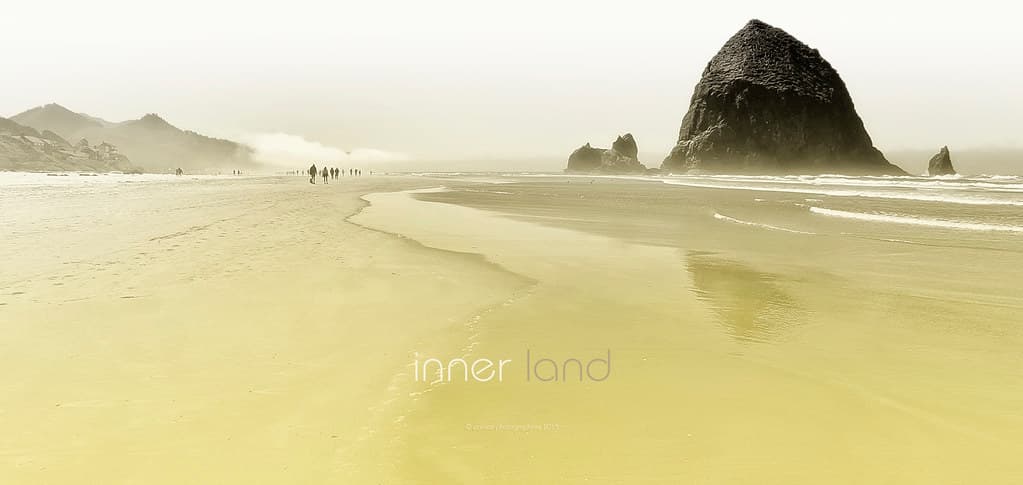 inner landscapes (Terres intimes)