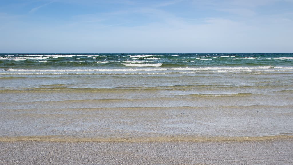 Kämpinge Beach — photo by maaddin