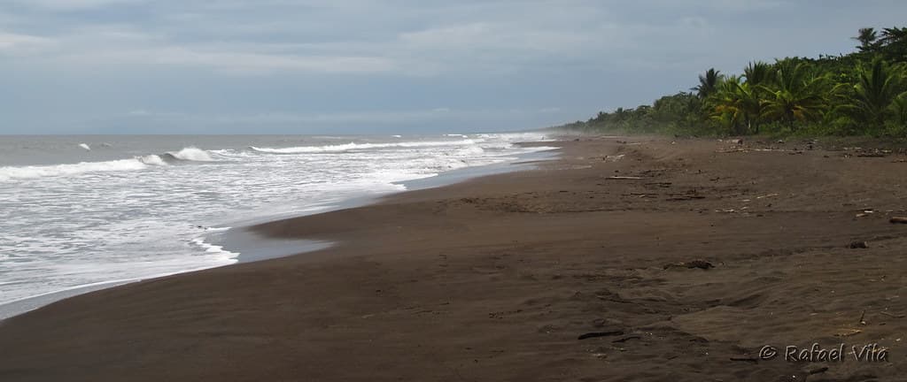 Playa Tortuguero Norte — photo by Rafael Vila